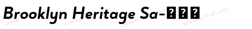 Brooklyn Heritage Sa字体转换